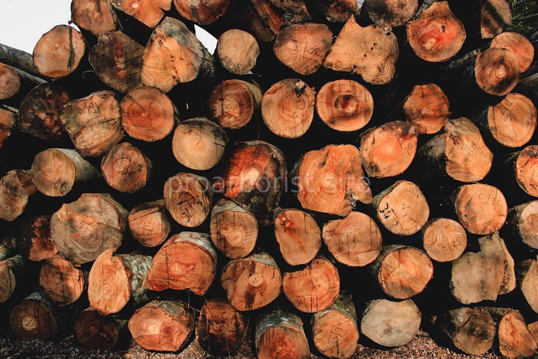 Tree Health