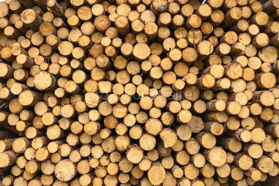 Tree management