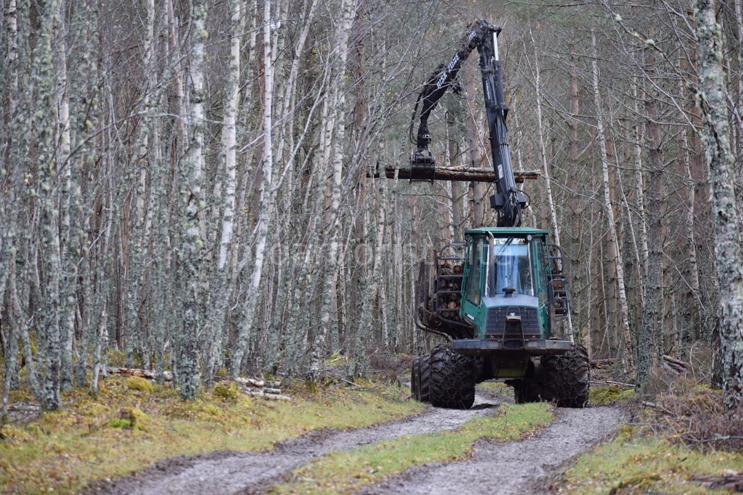 Tree Health