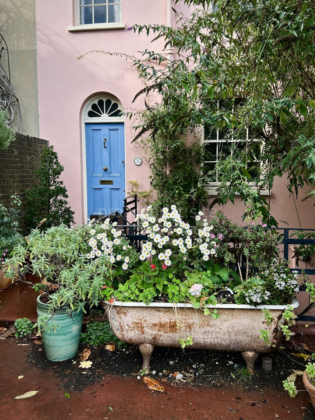 Garden Moment 3