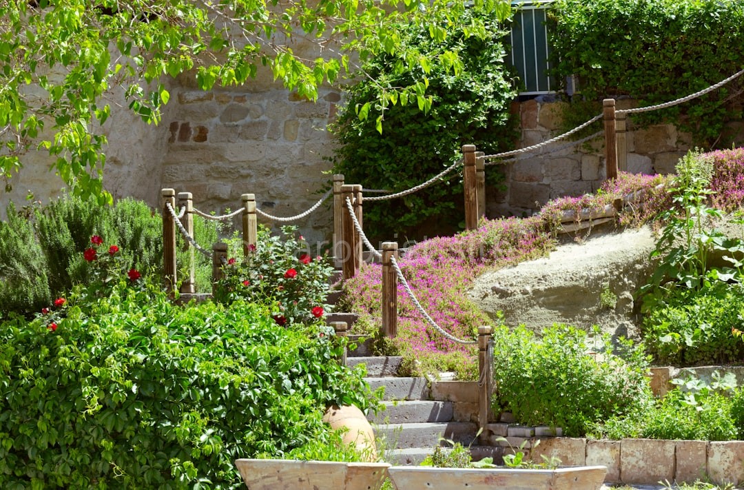 Garden Detail