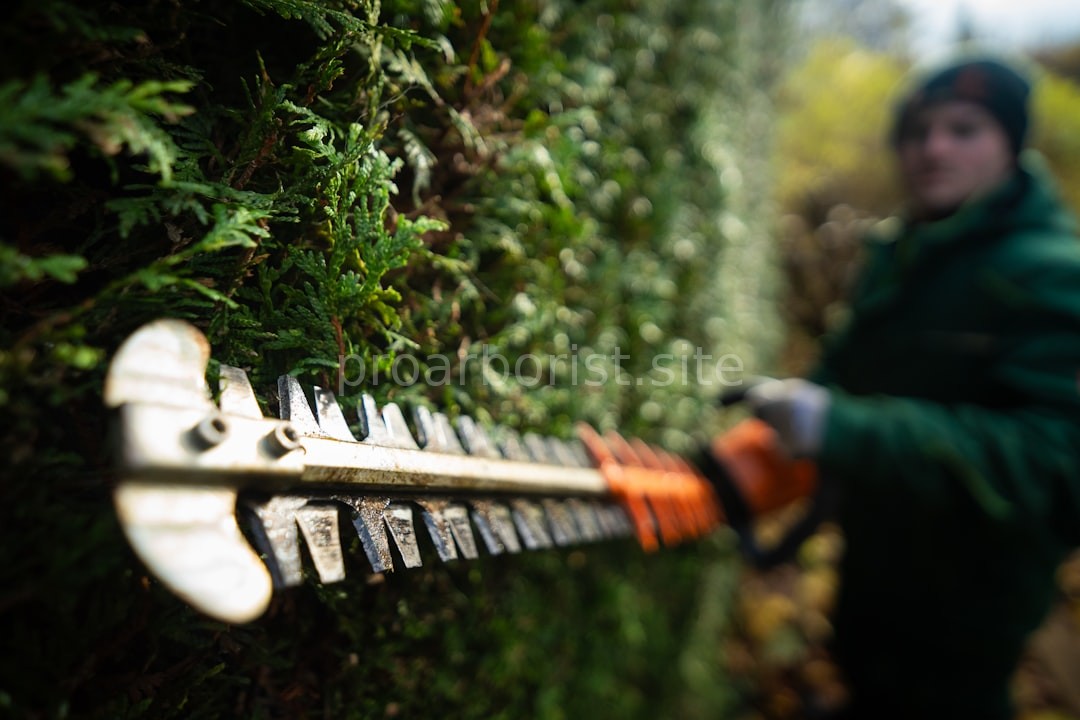 Tree Pruning